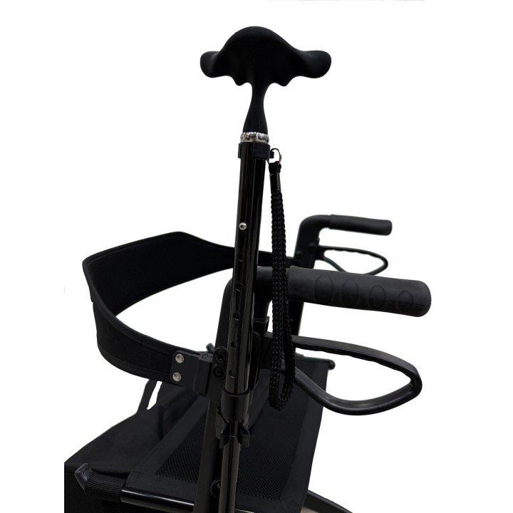 Deambulatore in fibra di carbonio Neox Carbon