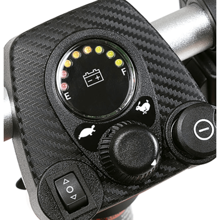 Scooter elettrico pieghevole ALYA