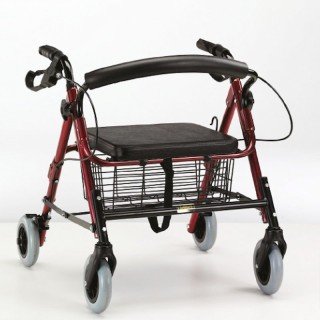 Deambulatore Junior Rollator modello Fiesta