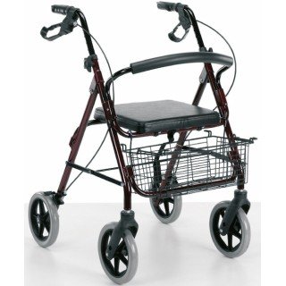 Deambulatore tipo Rollator modello Fiesta