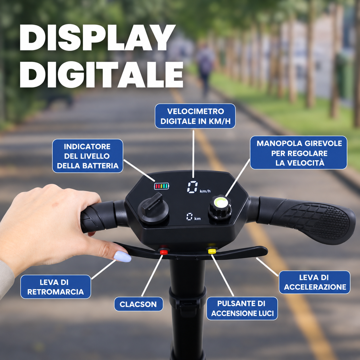 display-digitale